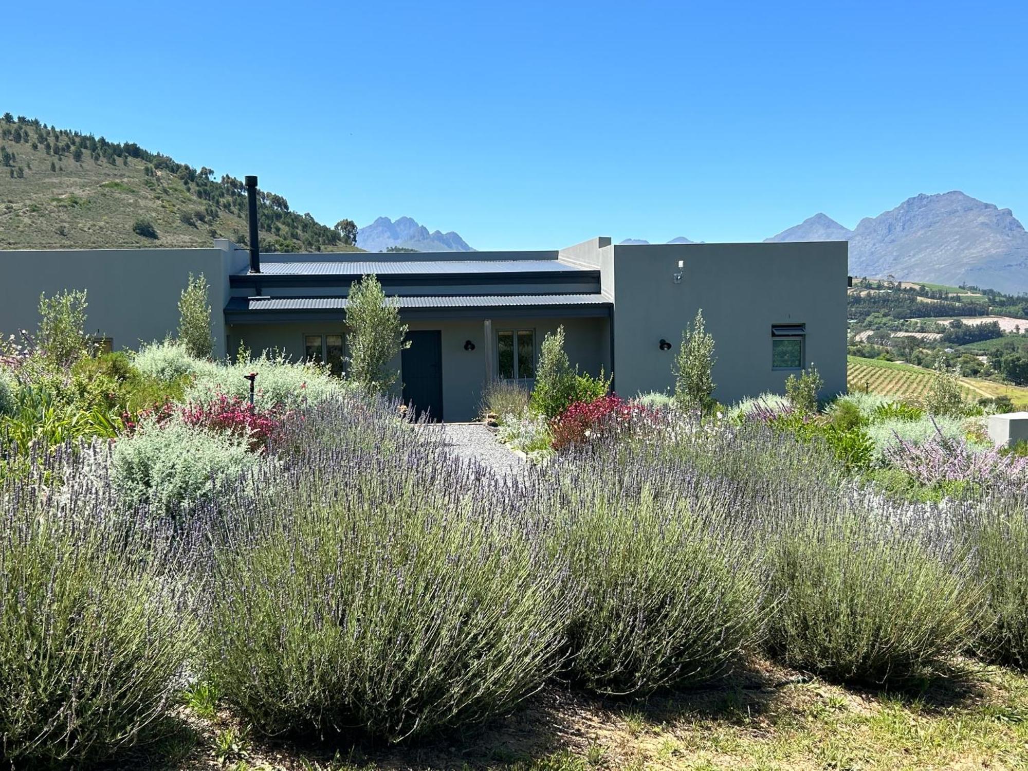 Windon Vineyard Farmhouse Stellenbosch Bagian luar foto